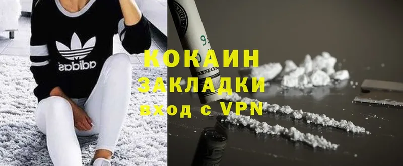 Cocaine FishScale  mega tor  Кисловодск  дарнет шоп 