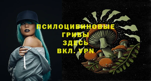 прущая мука Приозерск