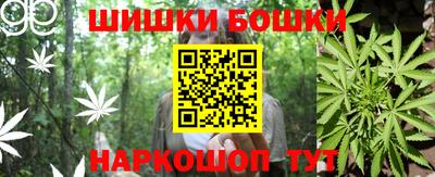 СК Гагарин