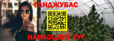 бошки Гатчина