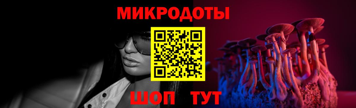 где можно купить наркотик  Вход с VPN  Кисловодск  Галлюциногенные грибы GOLDEN TEACHER 