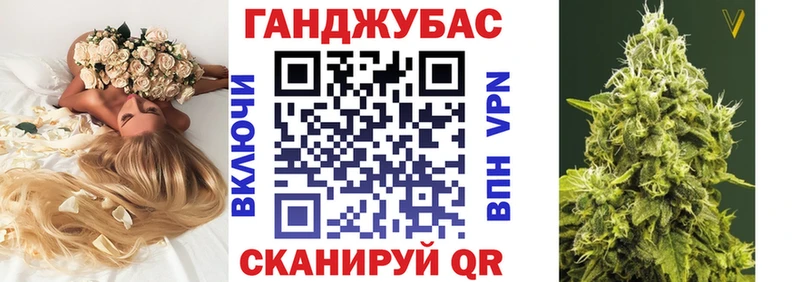 где купить наркоту  Кисловодск  OMG зеркало  Канабис планчик 