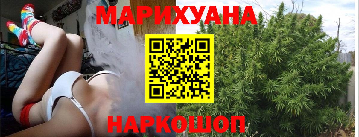 Каннабис конопля Кисловодск